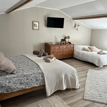 Le Clos Des Vignes Bed & Breakfast Saint-Palais-du-Ne